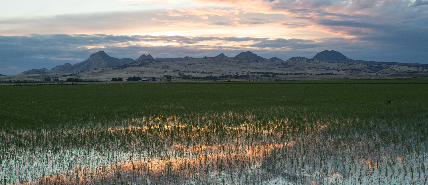 EXPLORE LOCAL MARYSVILLE ATTRACTIONS JUST MOMENTS AWAY