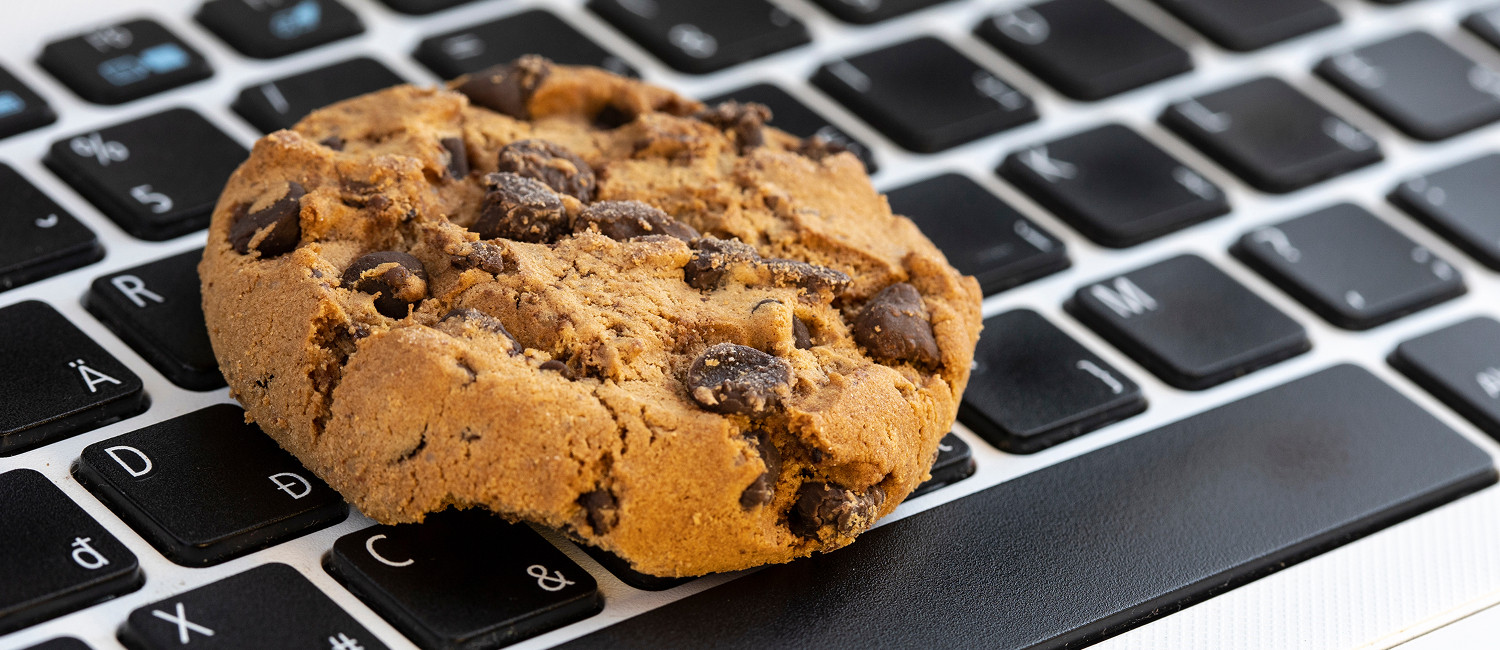 Website Cookie Policy For Budget Inn Marysville